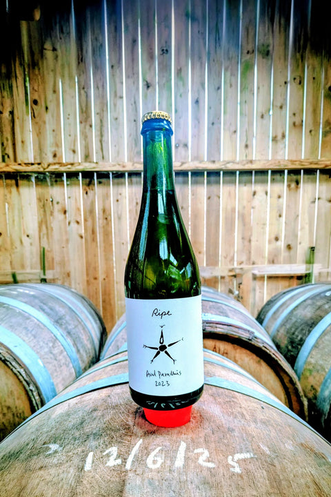 Ripe Cider – Aval Paradhis 2023