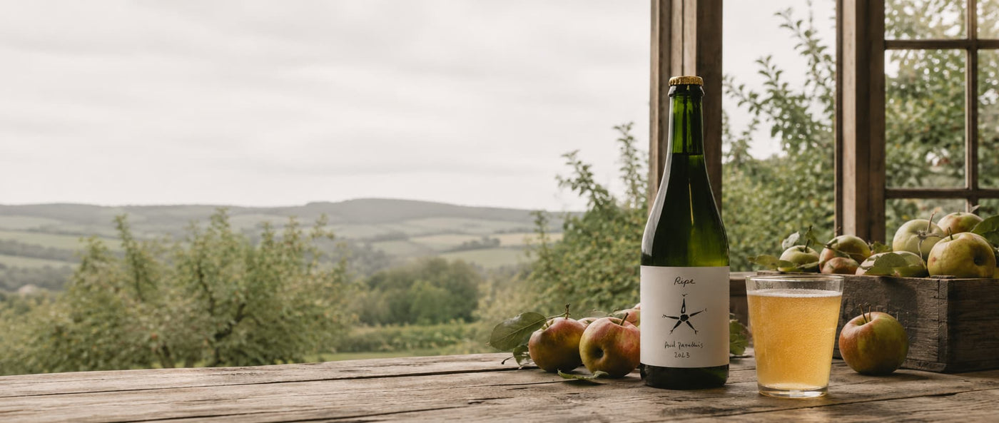 Cider