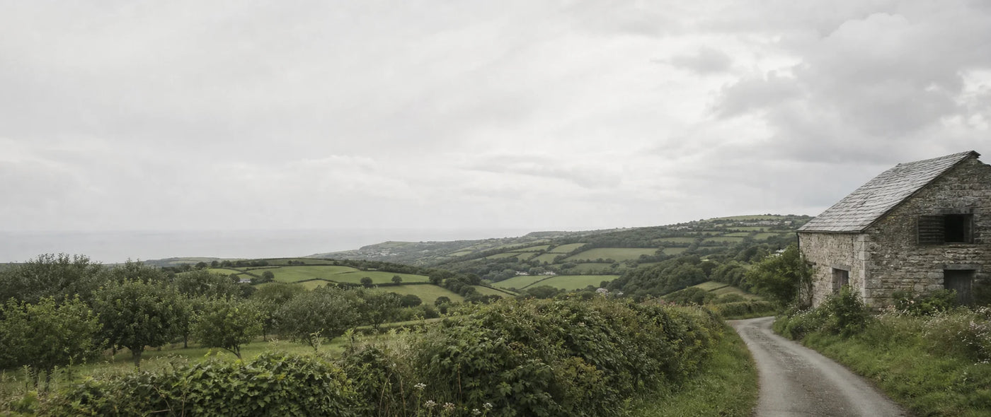 Devon