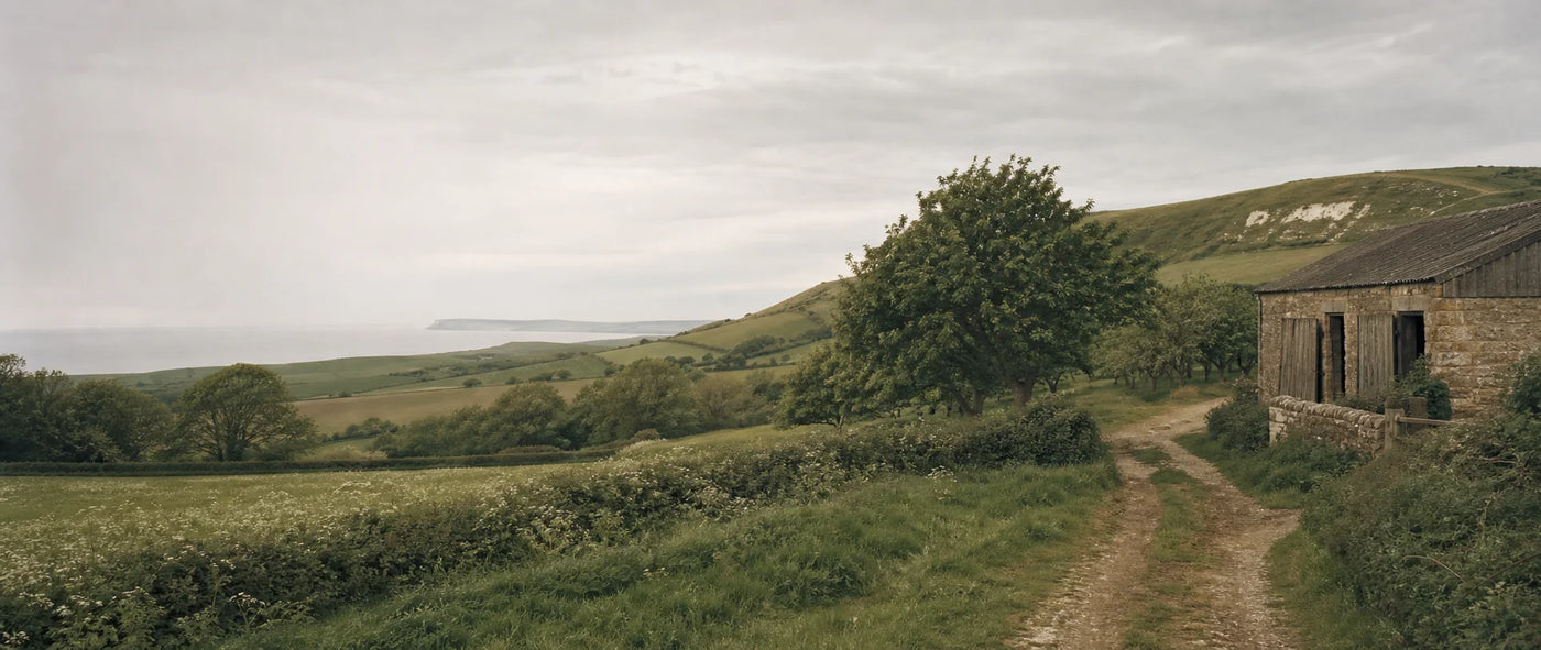 Dorset