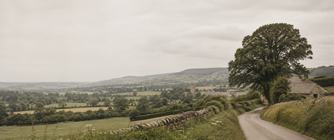 Somerset