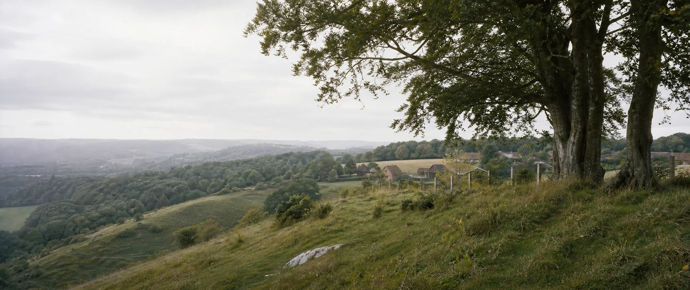 Surrey