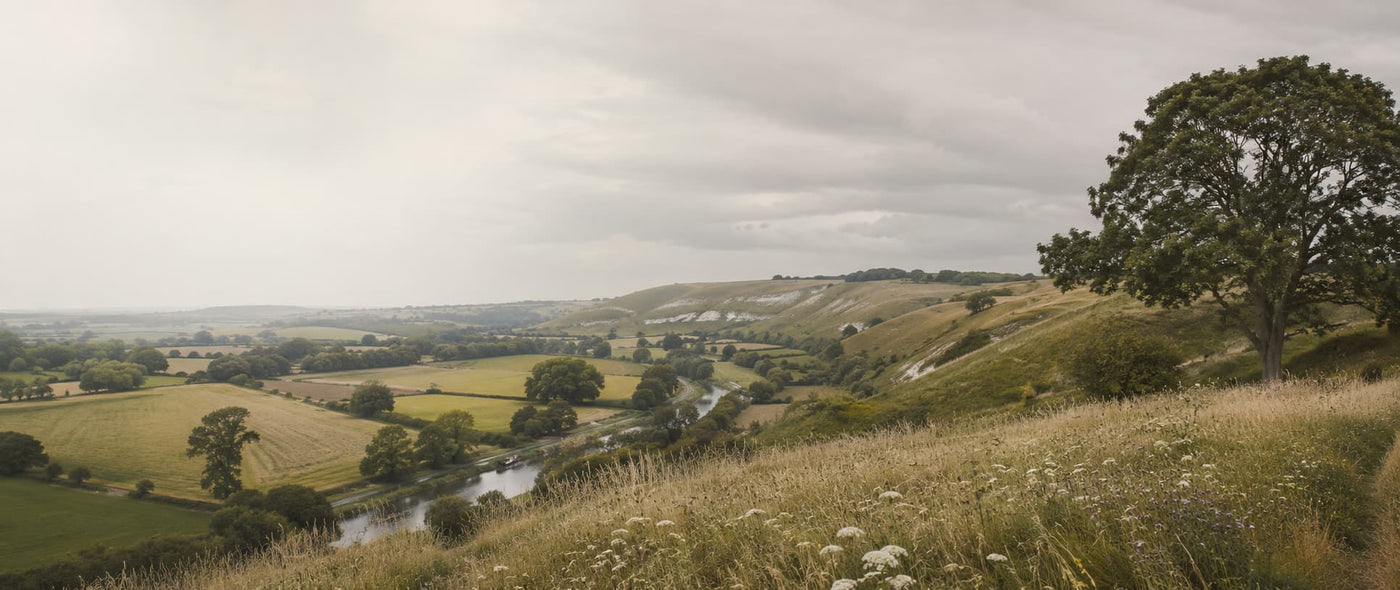 Wiltshire