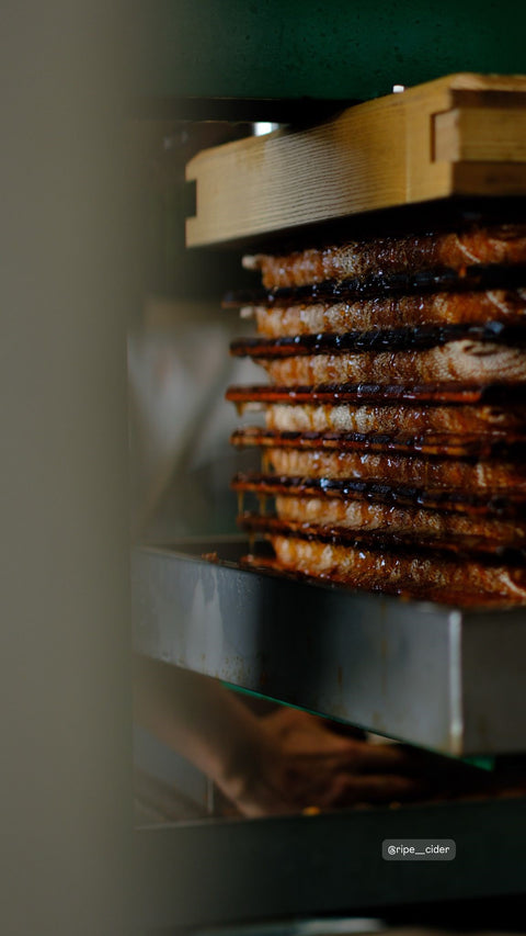 Ripe Cider – Aval Paradhis 2023